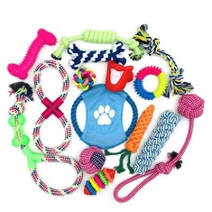 Conjunto de brinquedos para cães